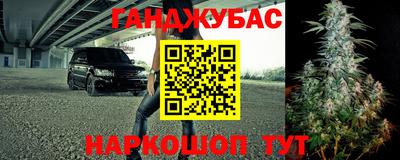 молекула духа Будённовск