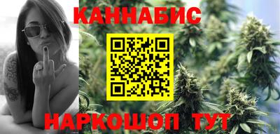 молекула духа Будённовск