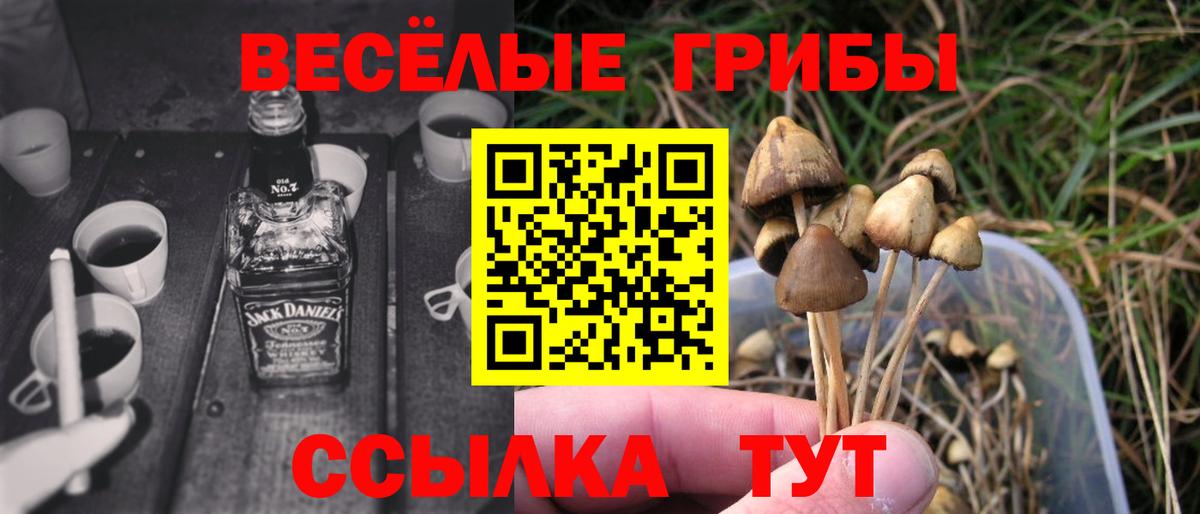 Псилоцибиновые грибы прущие грибы  Вход с VPN  Лангепас 